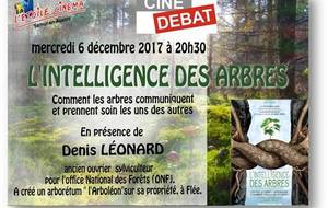 Un Archer dans les arbres