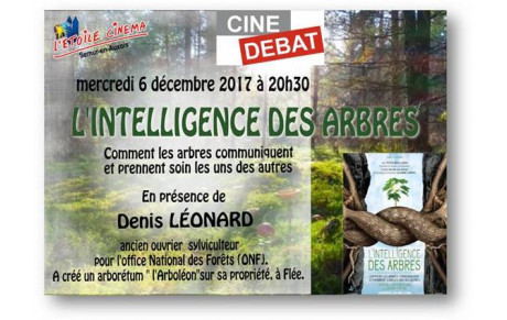 Un Archer dans les arbres